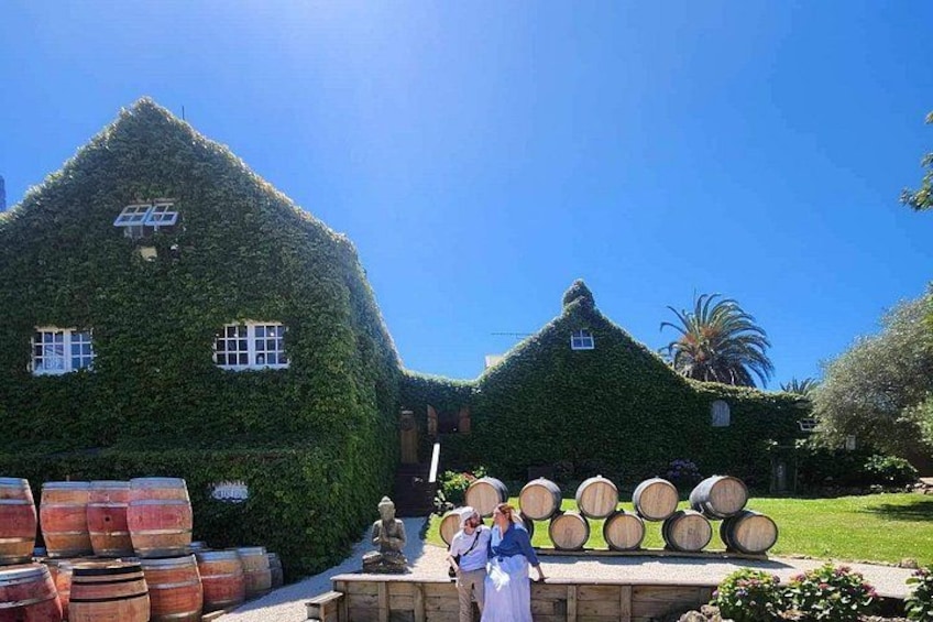 Two ivy-covered houses with barrels in front. 4
