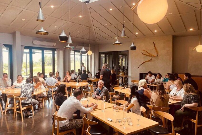 Cable Bay Vineyard 5