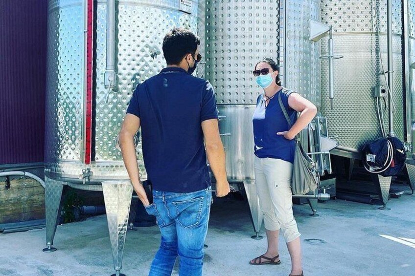 Premium Nemea Wine Tour from Athens, Nafplio or Nemea, with Oenologists 3