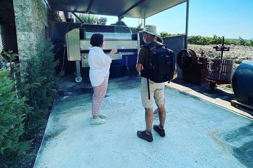 Premium Nemea Wine Tour from Athens, Nafplio or Nemea, with Oenologists 2