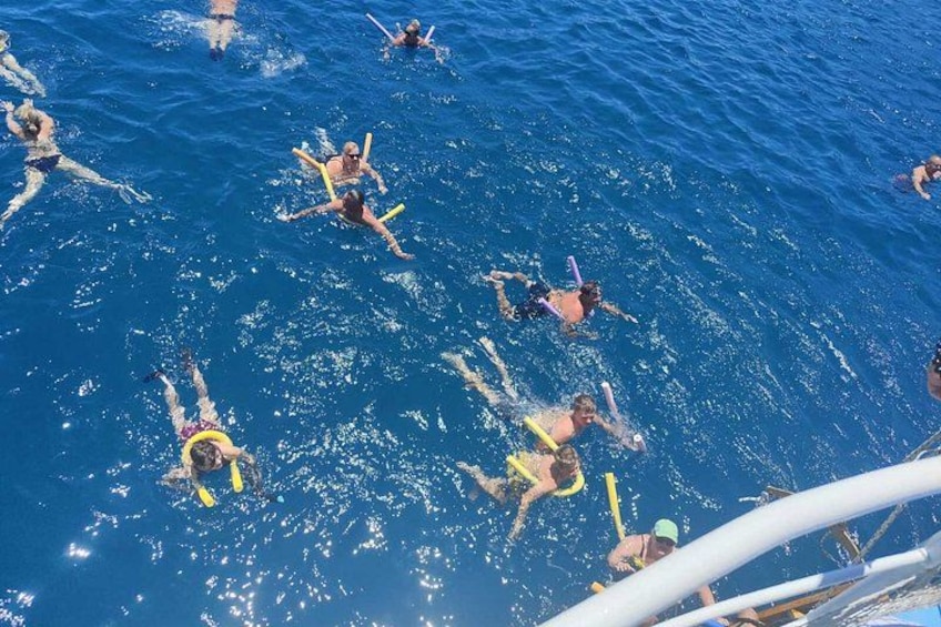 Människor som simmar i havet med snorkel och simfötter. 4