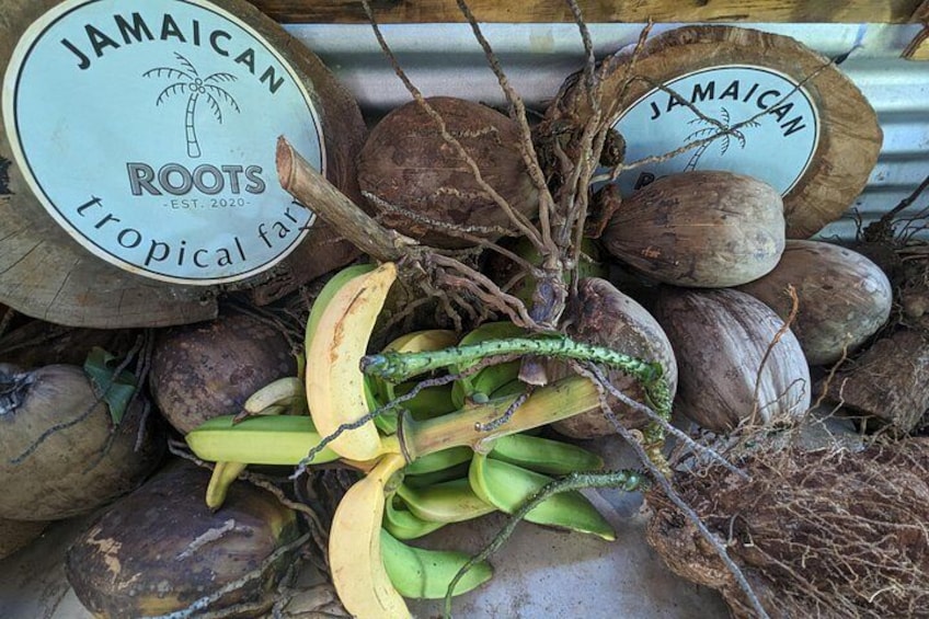 Fresh plaintain and dried coconut at Jamaican Roots 2