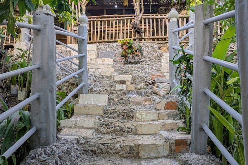 Jamaican Roots Tropical Farm Tour - Taste & Explore (Negril) 2hr 2