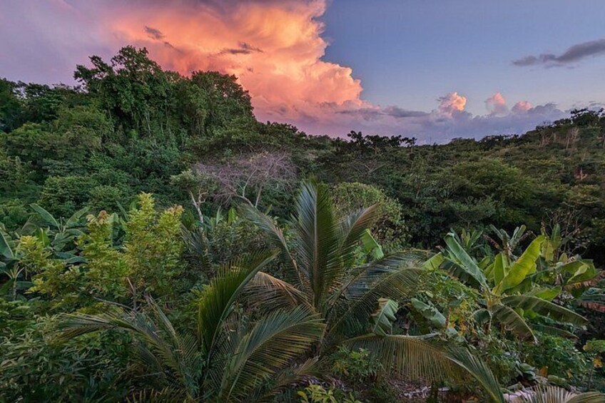 Sunset at Jamaican Roots 3