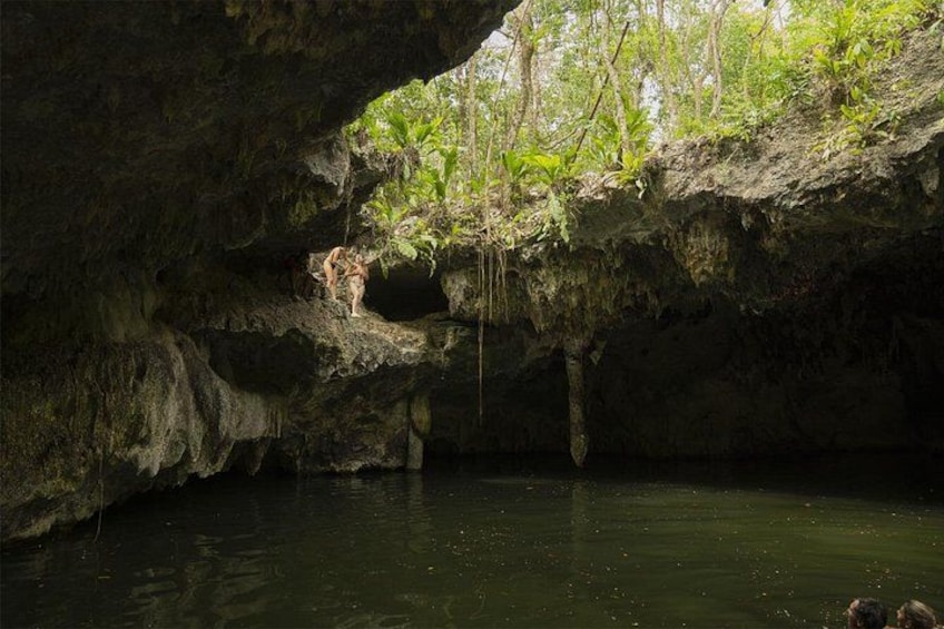 Cueva con agua, estalactitas y vegetación en el techo. 2