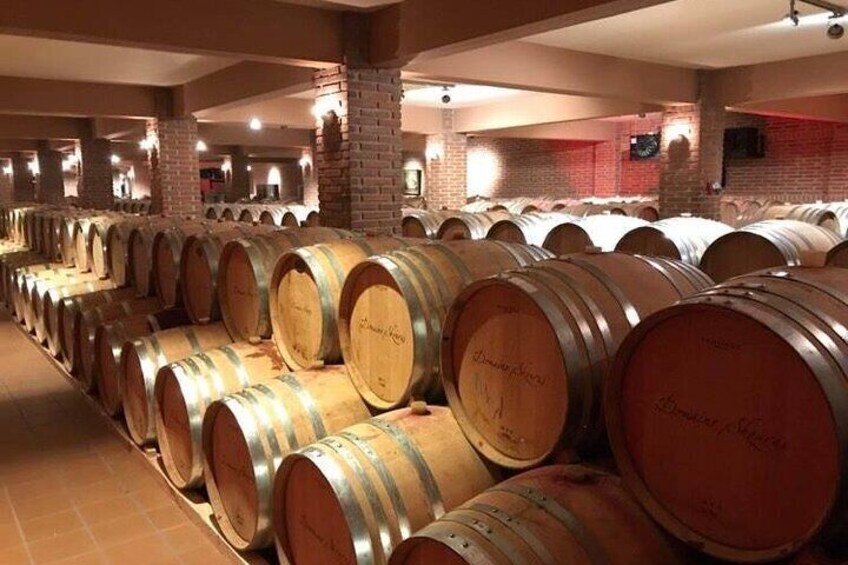 Nemea Wine Tour from Athens, Nafplio or Nemea with Oenologists
