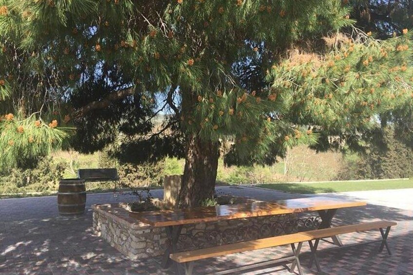 Nemea Wine Tour from Athens, Nafplio or Nemea with Oenologists 2