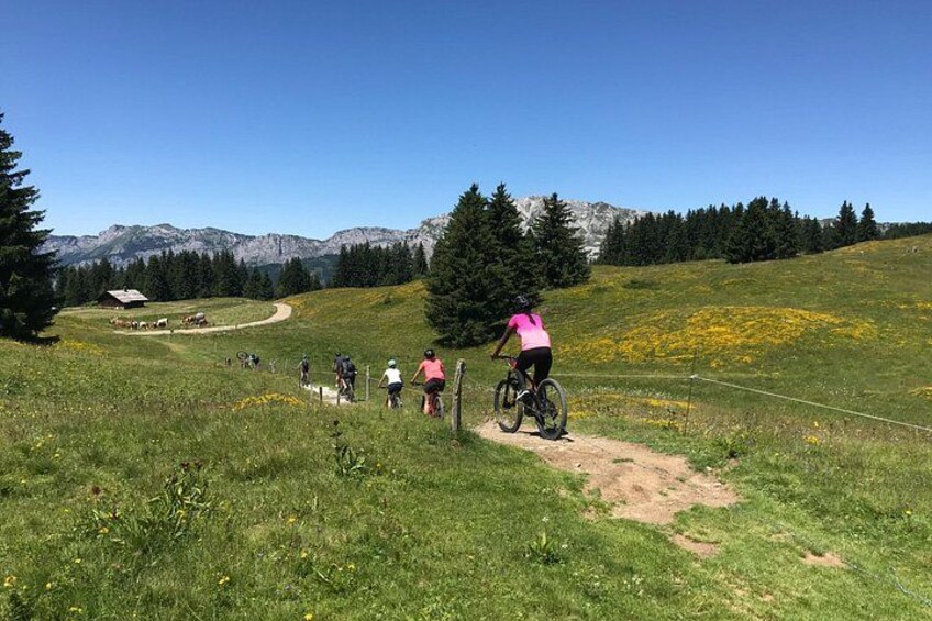 En gruppe cyklister på en støvet sti gennem en græsmark med bjerge i baggrunden. 4