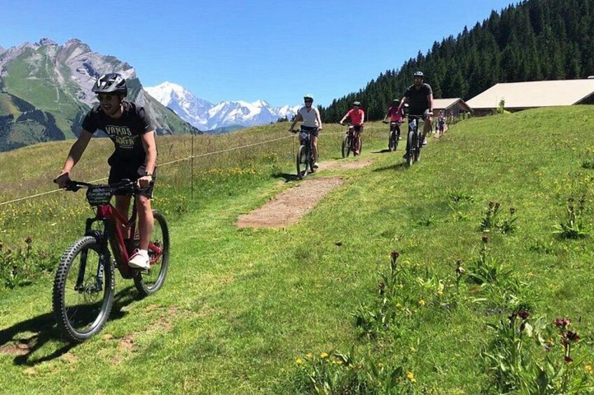 En gruppe cyklister på en bjergsti med sneklædte tinder i baggrunden. 5