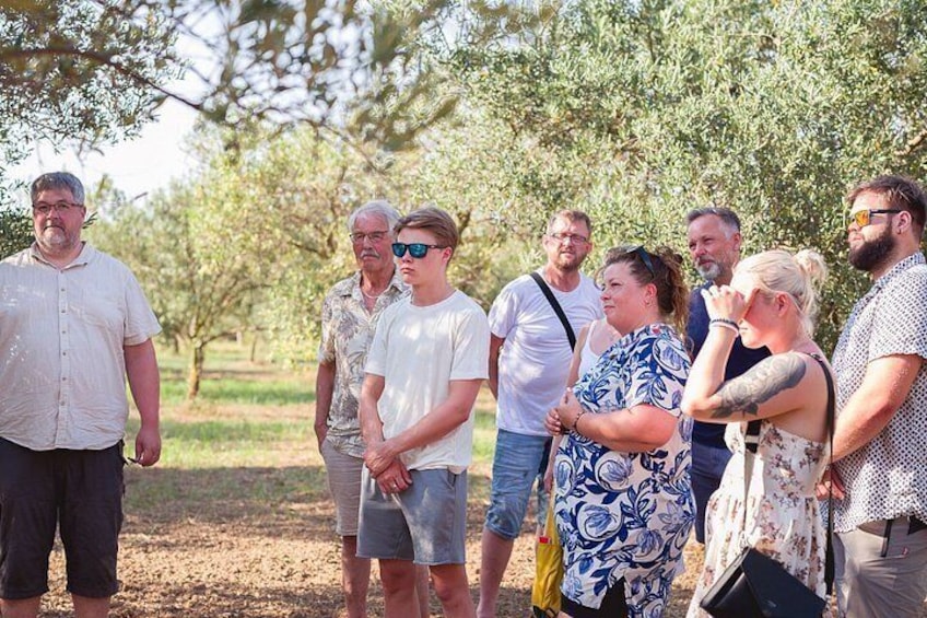 Authentic Sicily Family Olive Grove Tour & Oil & Wine Tasting 4