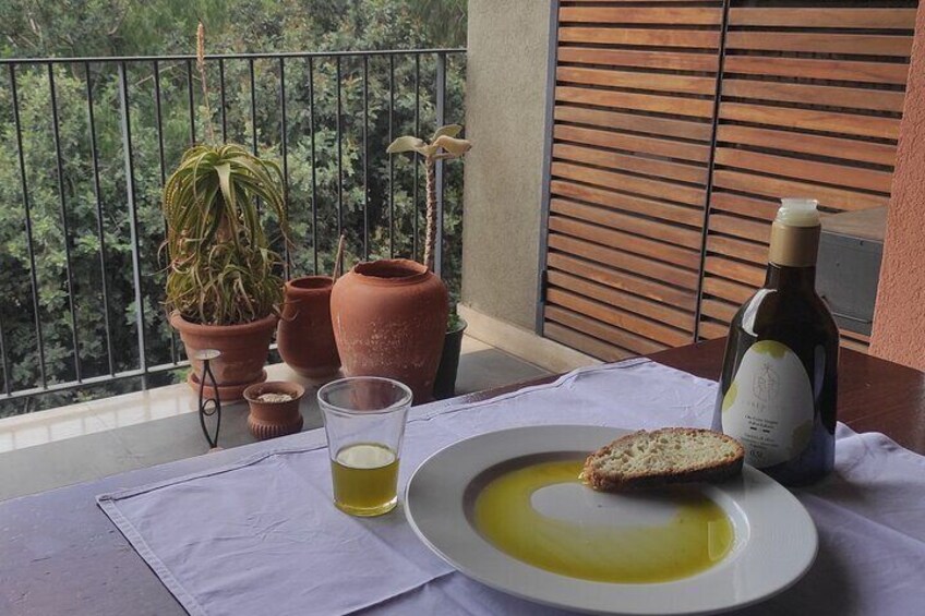 Olive Grove Tour with Wine & Olive Oil Tasting in Balestrate