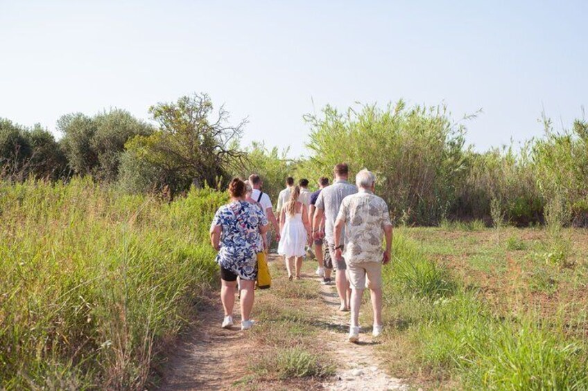 Balestrate Olive Grove Tour: Wine and Olive Oil Tasting 4