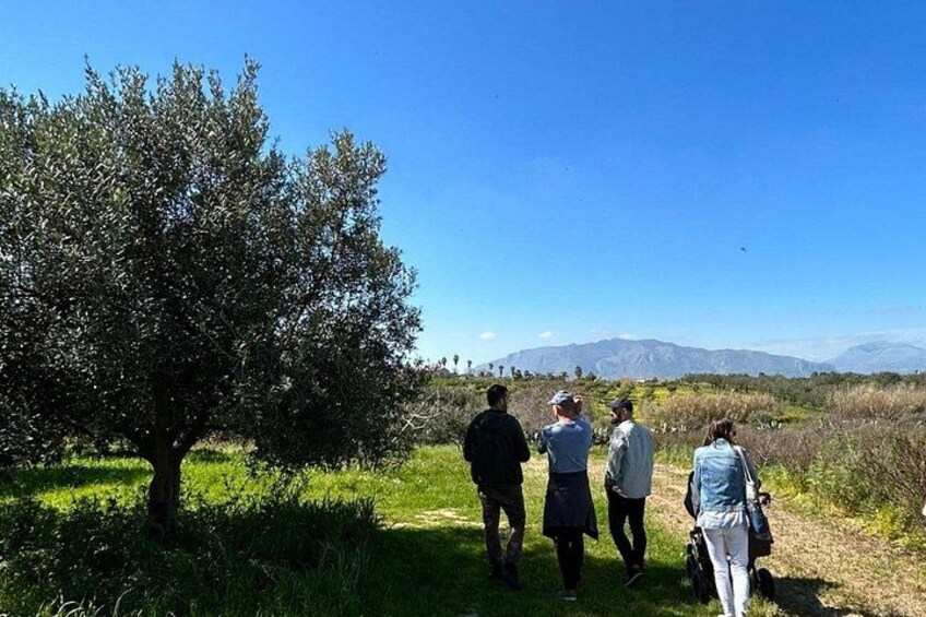 A group of people walking on a path with a large tree and a clear blue sky. 5