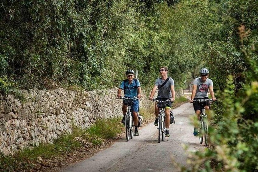 Lecce to Cesine Protected Natural Reserve Full-Day Bike Tour 1