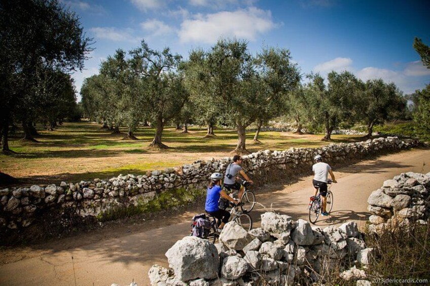 Cycling Across Salento: Capo di Leuca 4-Hour Bike Tour 1