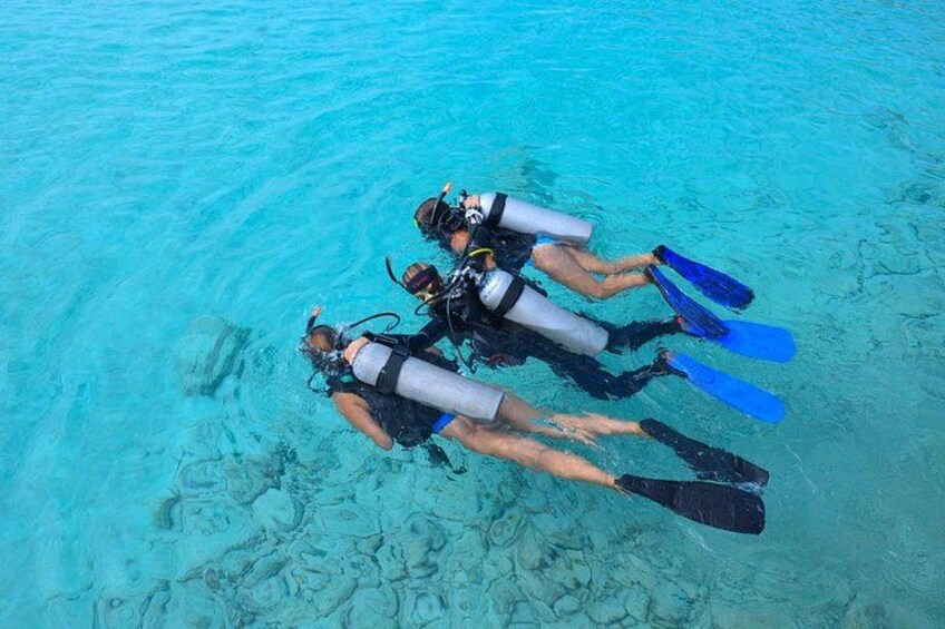 PADI Discover Scuba Dive at Coral Divers Curacao 1