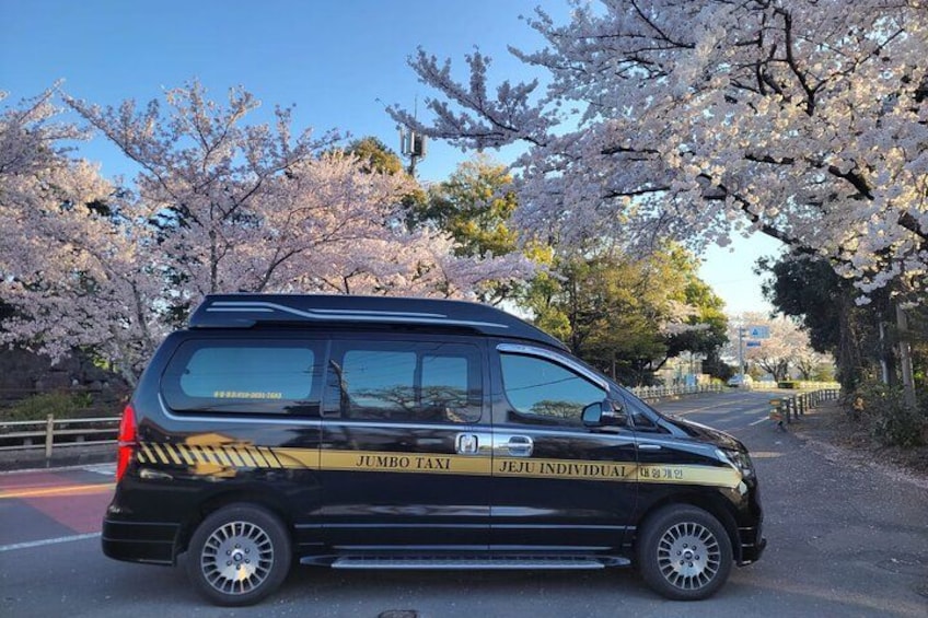 Private Day tour East & south & west of All area in jeju island 3