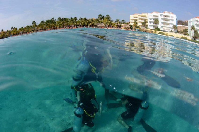 Ein Taucher unter Wasser, im Hintergrund klares Wasser, Palmen und Gebäude. 2