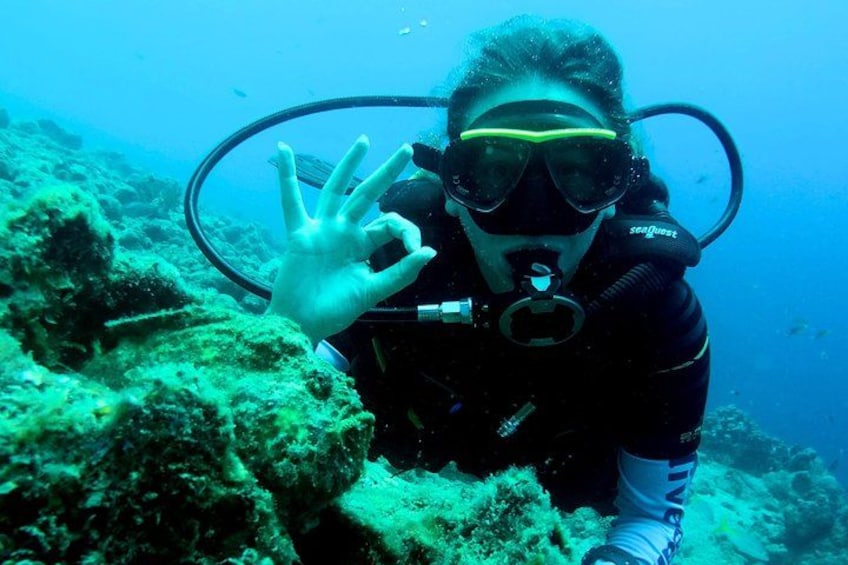 Ein Taucher unter Wasser macht eine Handbewegung, umgeben von Korallen und Meereslebewesen. 1