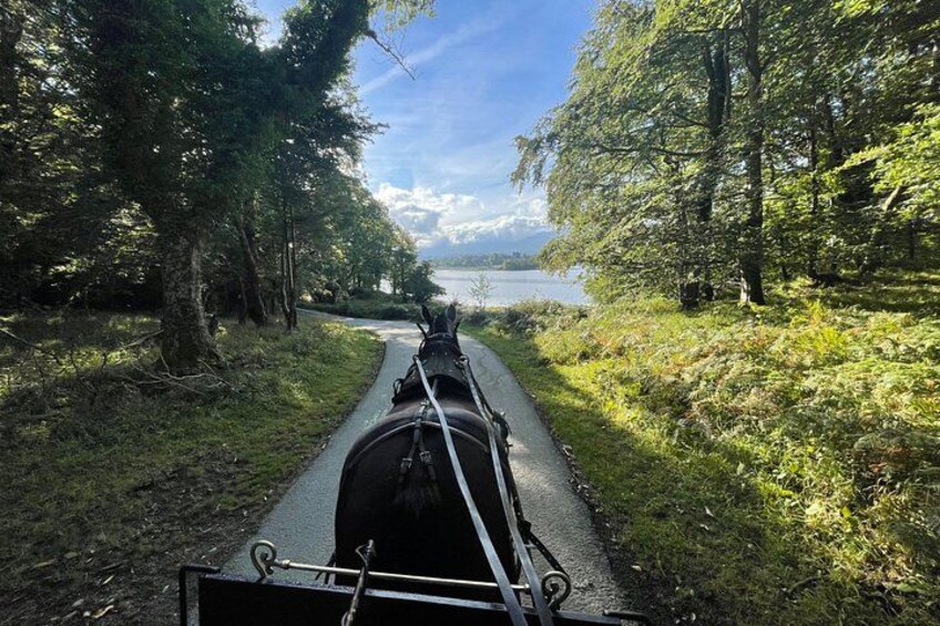 1 Hour Guided Carriage Tour in Killarney National Park 1