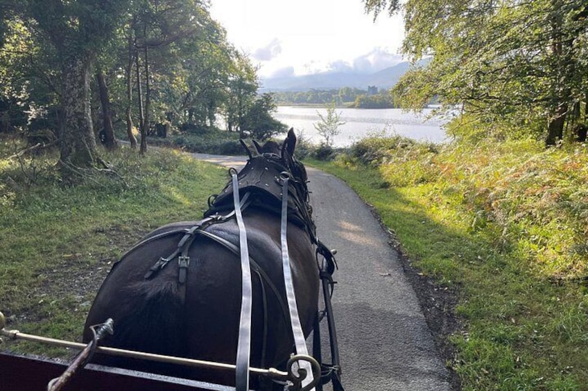 A horse-drawn carriage on a narrow road with trees and a lake in the background. 2