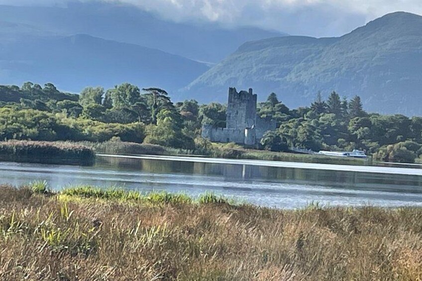 1 Hour Guided Carriage Tour in Killarney National Park 3
