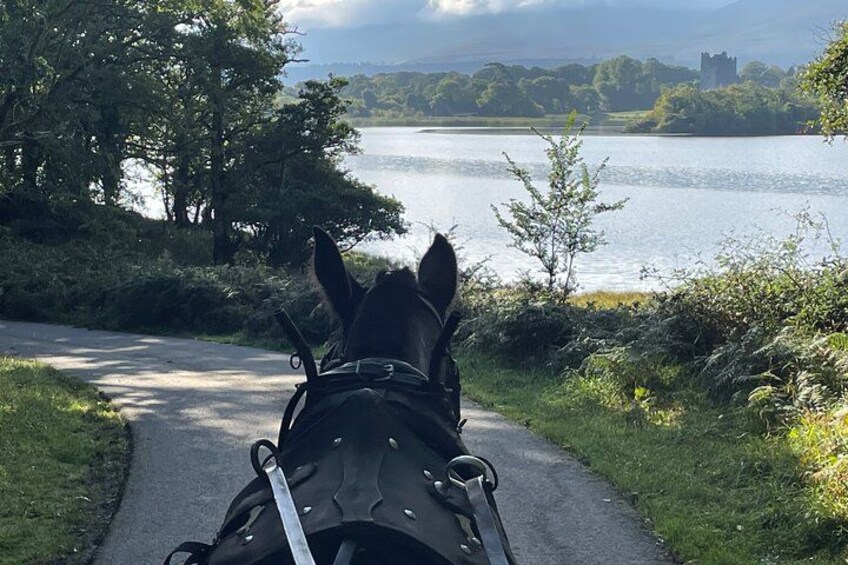 1 Hour Guided Carriage Tour in Killarney National Park 2
