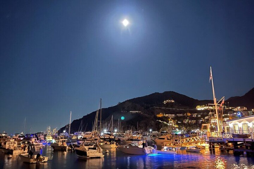 A nighttime harbor with boats, a prominent hill with lights, and a flag on a pole. 2