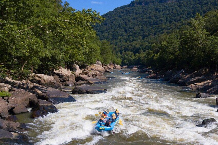 Half Day New River Gorge Whitewater Rafting 2