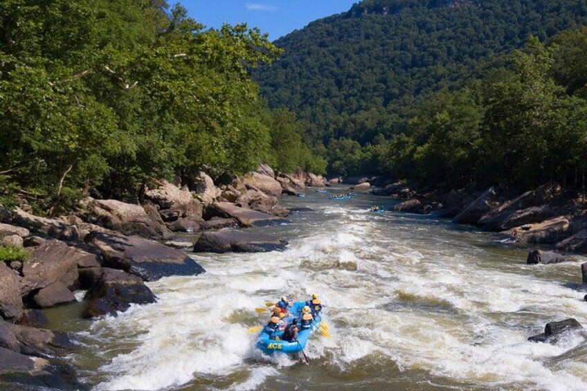 Half Day New River Gorge Whitewater Rafting 2
