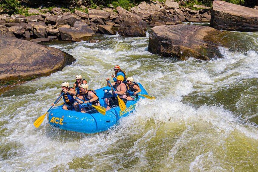 Half Day New River Gorge Whitewater Rafting 3