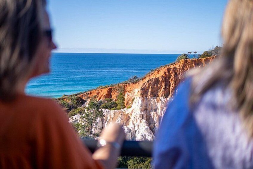 Un paysage côtier avec des falaises et l’océan. 4