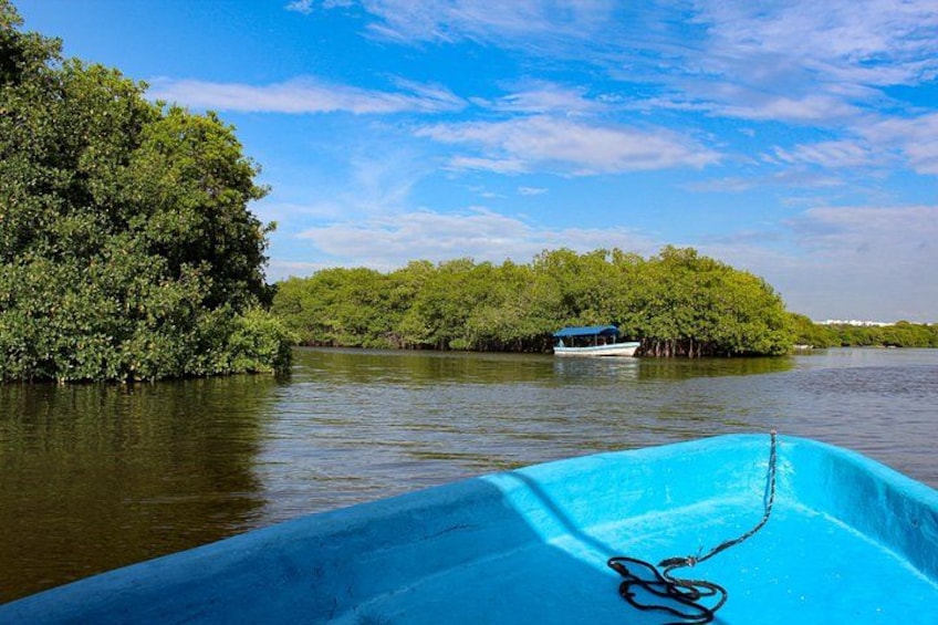5 Attractive With Aquarium And Mandinga Included (in Veracruz) 4