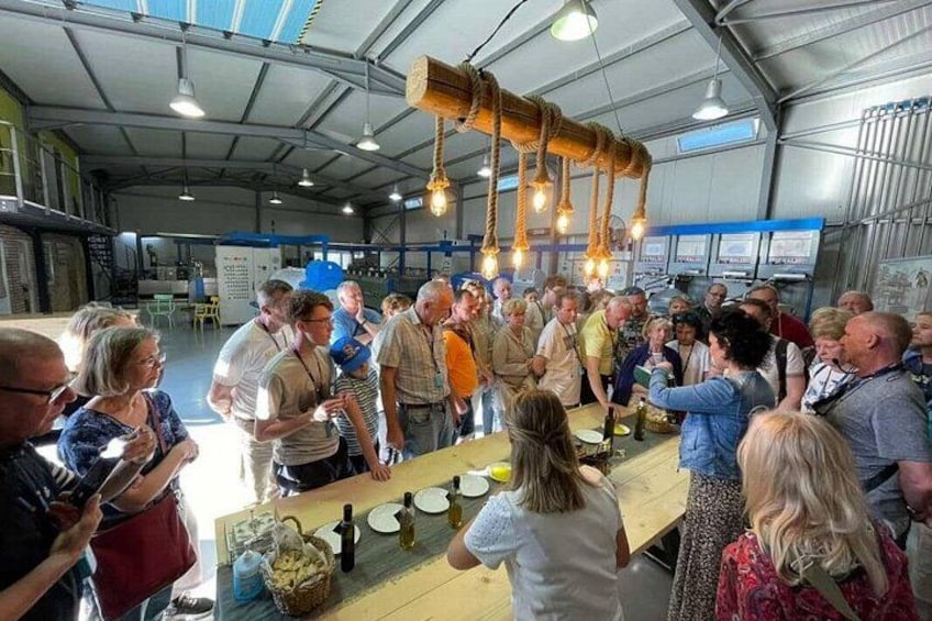 Private Olive Oil Tour & Tasting with Lunch from Katakolo Port 2
