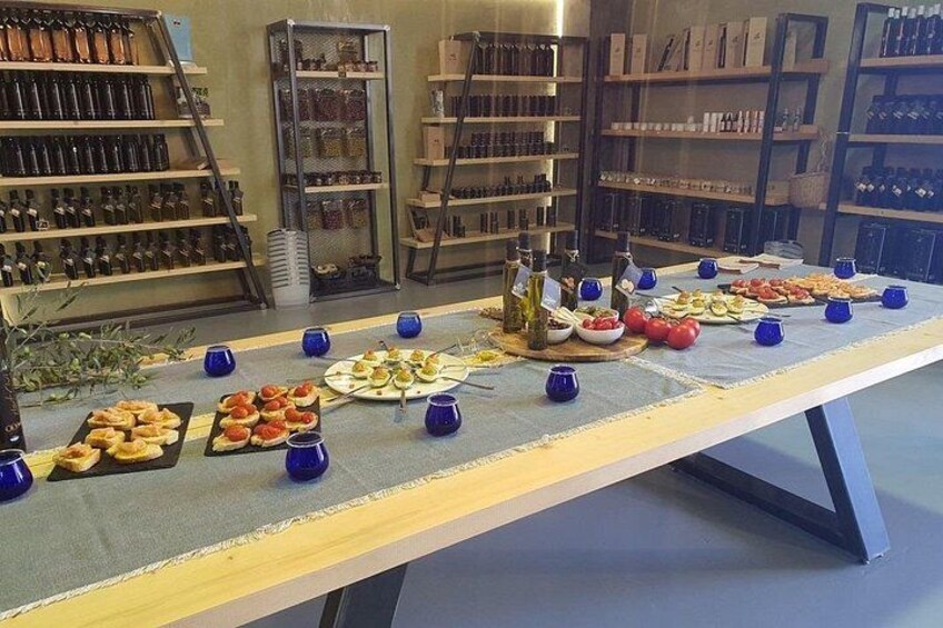 Private Olive Oil Tour & Tasting with Lunch from Katakolo Port 2