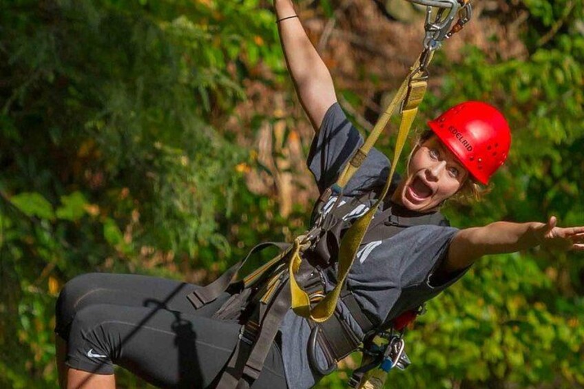 A person zip-lining through a forested area. 2