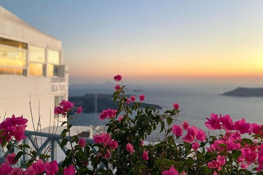 Solnedgang over kysten med lyserøde blomster i forgrunden og en hvid bygning i baggrunden. 5