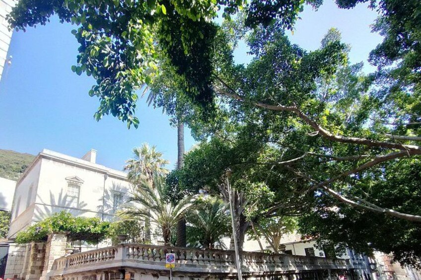 A tree-lined street with a bridge, buildings, and a clear blue sky. 3