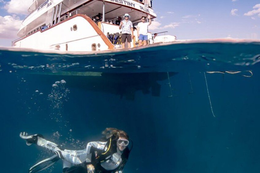 Diving, Snorkeling & Leisure Cruises by Boat 3
