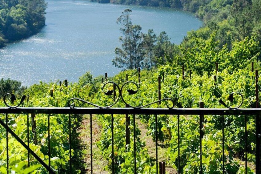 Discover the Charm of Bajo Miño and Portugal on a Private Tour 2