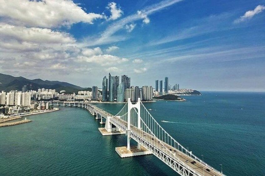 Busan Day Trip from Seoul by KTX - Private Tour with Local Guide 3