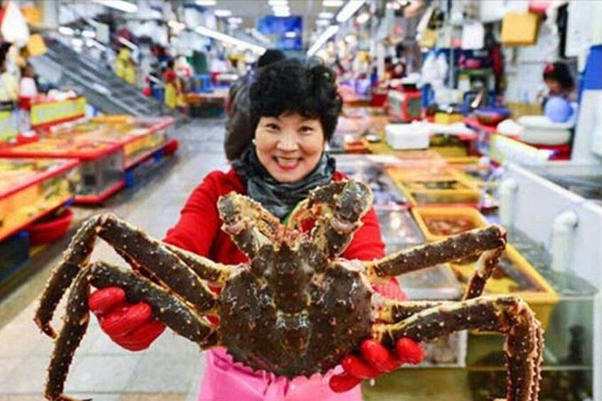 Busan Day Trip from Seoul by KTX - Private Tour with Local Guide 4