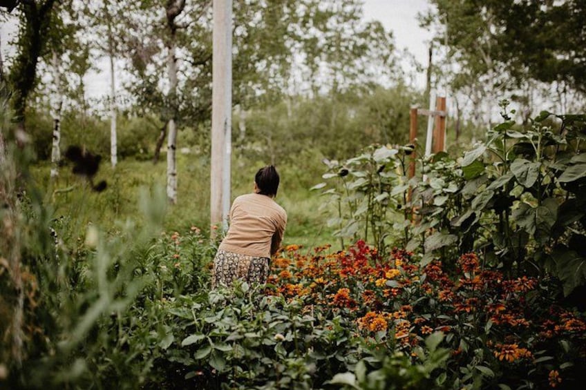 A person standing in a garden with various plants and flowers. 5