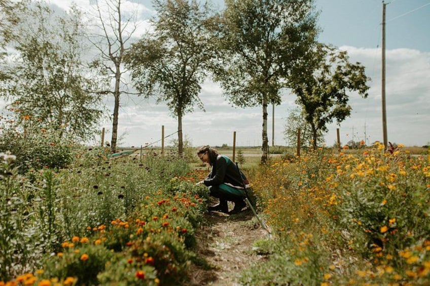 A person crouching in a field with wildflowers and trees in the background. 3