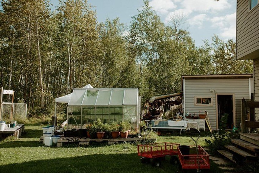 A greenhouse, a wooden shed, and a red cart in a backyard with a lawn and trees. 2