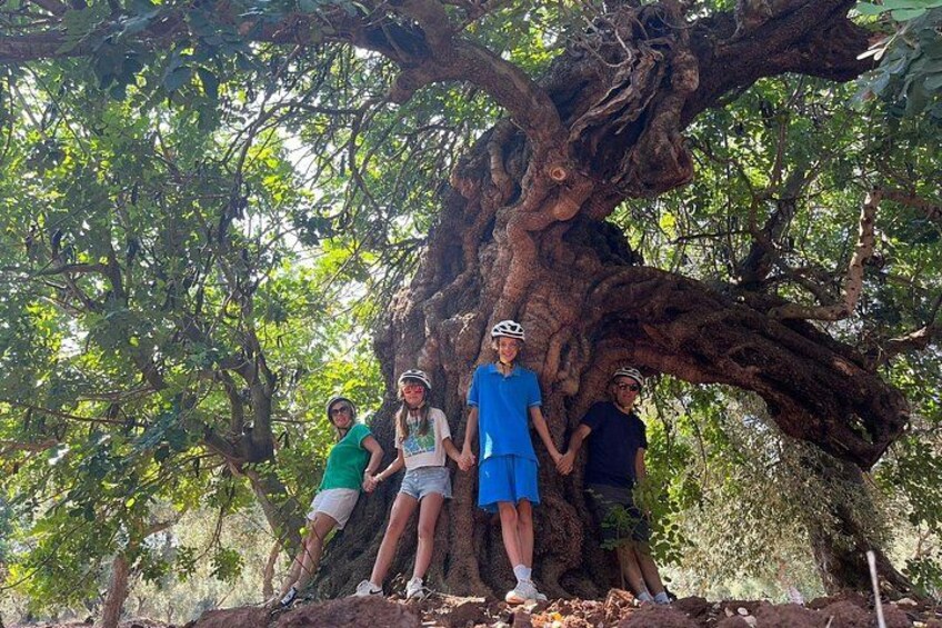 Een groep mensen staat onder een grote boom met dikke takken. 3