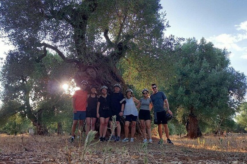 E-bike tour in Ostuni. Oil mill, Dolmen and huge olive trees 3
