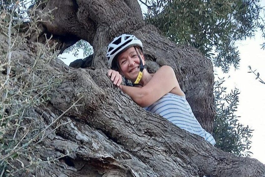 E-bike tour in Ostuni. Oil mill, Dolmen and huge olive trees 2
