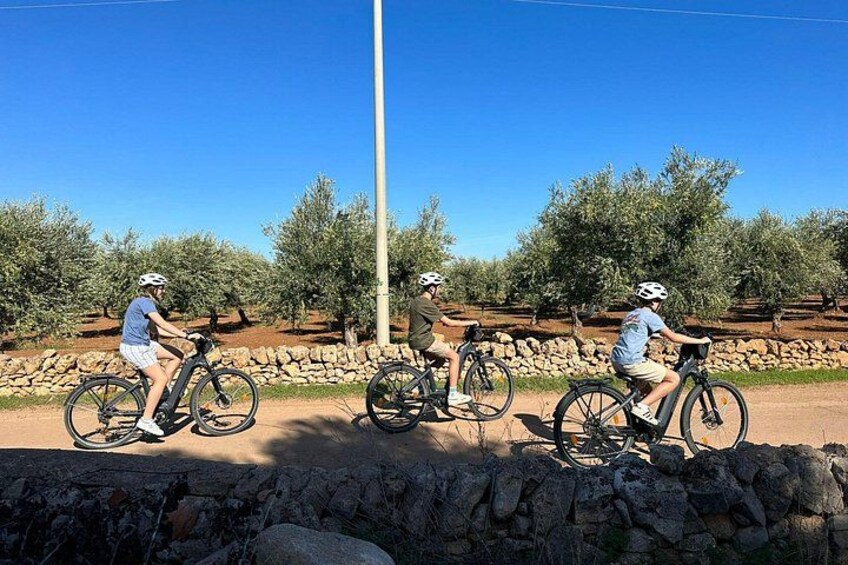 E-bike tour in Ostuni. Oil mill, Dolmen and huge olive trees 5