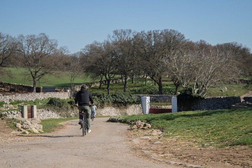 Martina Franca e-Bike tour . Visit a breeding and a dairy farm 4